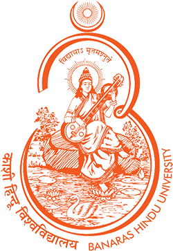 DU Logo